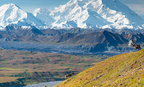 11-Night Fairbanks Denali Express - Southbound Cruisetour