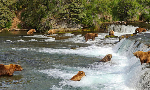 13-Night Denali Talkeetna Explorer - Northbound Cruisetour