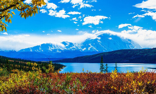 14-Night Denali-Valdez Explorer - Southbound Cruisetour