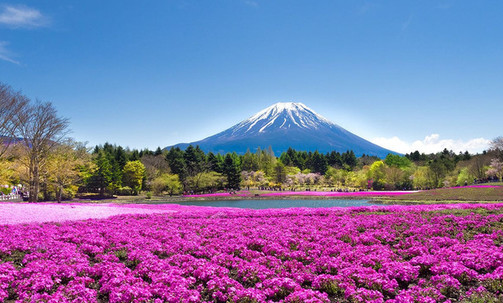 9-Night Asia Cruise From Tokyo To Seoul: Osaka, Kochi, Jeju & Nagoya