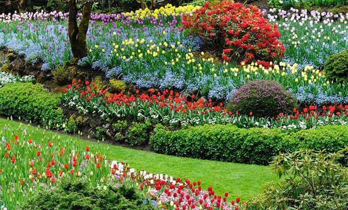 7-Night Pacific Coast Cruise From Los Angeles To Vancouver