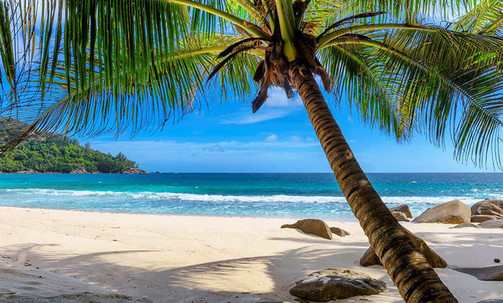 7-Night Western Caribbean Round-Trip Cruise From New Orleans: Harvest Caye, Cozumel & Roatan