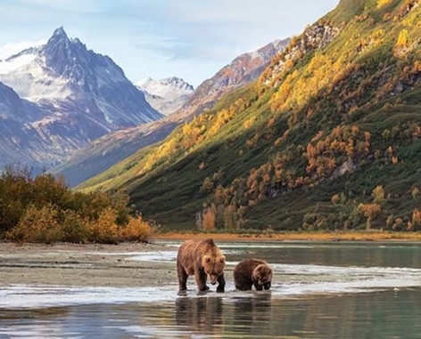 7-Nt Alaska Cruise w/Shore Excursion Credit, Beverage Package, WiFi Upgrade & More