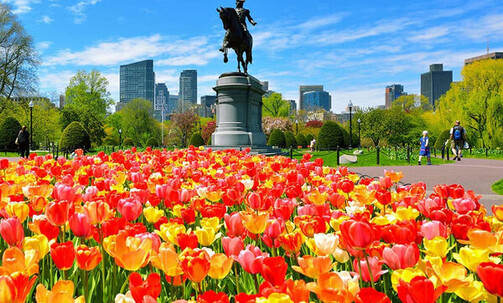 11-Night Canada & New England Cruise From Philadelphia to Quebec City