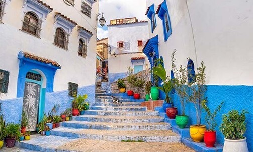 9-Nt Northern Morocco Tour, Incl. Casablanca, Rabat & Chefchaouen, w/Meals & More