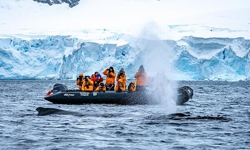 Luxe, 21-Nt All-Incl. Antarctica, South Georgia & Falkland Islands Cruise w/Onboard Credit