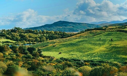 Make Your Next Stop Ireland with Round-Trip Air from $499*