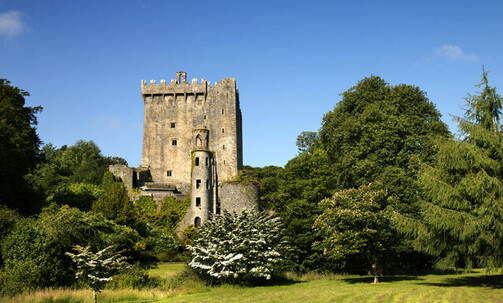Ireland: 8-Night, 4-Star Tour w/Private Chauffeur, Meals, Sightseeing & More