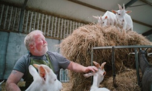 Ireland: Food & Drink Tours w/Tasting Lessons & More