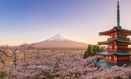 11-Night Asia Cruise From Seoul To Tokyo: Osaka, Nagoya, Sakaiminato & Hakodate