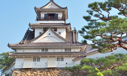 9-Night Asia Cruise From Seoul To Tokyo: Kochi, Jeju & Nagoya