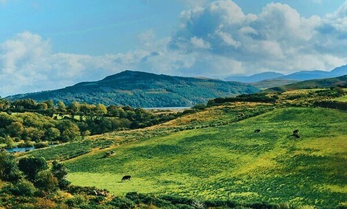 When You Book a Qualifying Guided Tour or Private Driver Trip to Ireland; No Blackout Dates