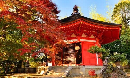 7-Night Japan Trip, Incl. Osaka, Tokyo & Kyoto, w/Air, City Tours, Transfers & More
