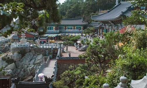 South Korea: 13-Nt Small-Group Tour w/4- & 5-Star Hotels, Seoul Cocktail Class & More