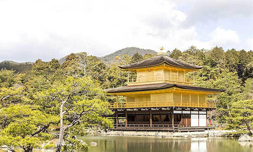 Japan: Luxe, 14-Night Small-Group Tour, Incl. Osaka & Kyoto, w/Meals, Tea Tasting & More