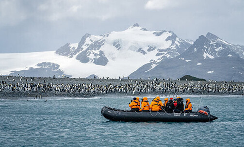 Luxe, 21-Nt All-Incl. Antarctica, South Georgia & Falkland Islands Cruise w/Onboard Credit