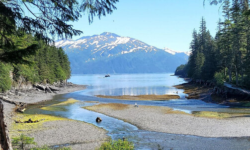 15-Night Cruise From Seattle to Tokyo (Yokohama): Hubbard Glacier, Ketchikan & Hakodate