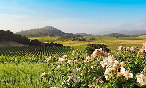 Labor Day Sale: U.S., Canada & Mexico Trips, Incl. Napa, Cancun & Miami, w/Air & More