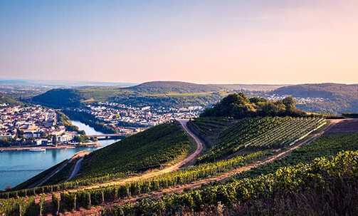 7-Night Moselle & Rhine River Cruise on New MS Nobleman w/Tips & More