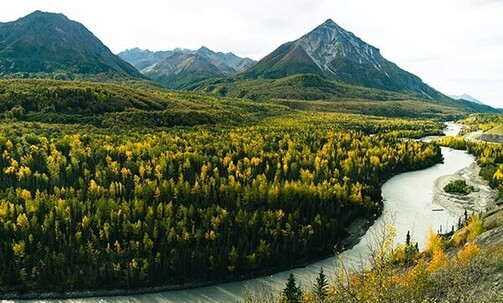 7-Night Alaska Cruise on Princess w/Onboard Credit in Summer