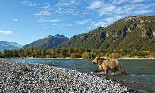 18-Nt Alaska Cruise, Incl. Great Bear Rainforest, w/Onboard Credit, 50% Deposit & More
