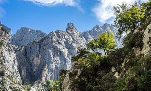 Last Minute: 7-Night, Small-Group Walking Tour of Spain's Picos de Europa w/Meals & More