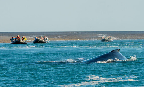 Western Australia: Luxe, 10-Night All-Incl. Kimberley Expedition Cruise