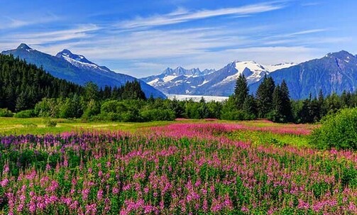 Luxe, 10-Night Alaska Cruise w/Choice of Drinks or $600 Excursion Credit; Incl. Tips & WiFi