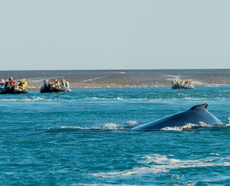 Western Australia: Luxe, 10-Night All-Incl. Kimberley Expedition Cruise