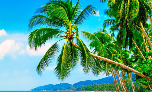 5-Night Bahamas Round-Trip Cruise From Jacksonville
