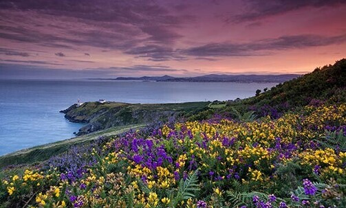 14-Night Ireland Trip w/Luxe Hotels, Private Chauffeur & More