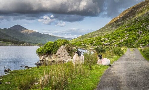 6-Night Ireland Road Trip w/Air, Rental Car, Breakfast & More; Call 1-213-589-2809 to Book