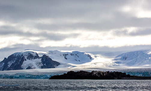 Luxe, 7-Night Antarctica Cruise w/Air Credit Savings of $1000 per Suite