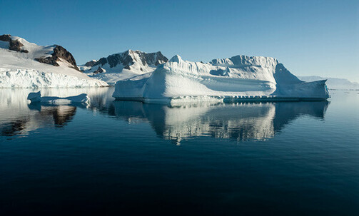 Luxe, 11-Night Antarctica Cruise w/Air Credit Savings of $1000 per Suite