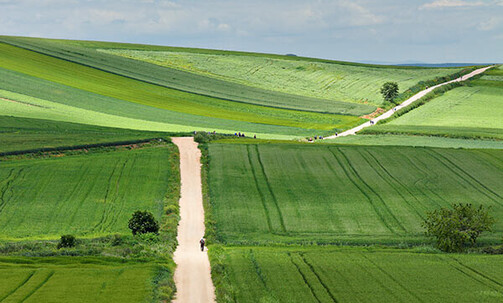 Last Minute: 7-Nt Walking Tour of Spain's Camino de Santiago w/Meals & More