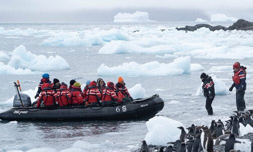 11-Night Antarctic Peninsula Expedition Cruise w/Shore Excursions & More