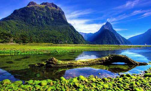10-Night Australia & New Zealand Cruise From Sydney to Auckland