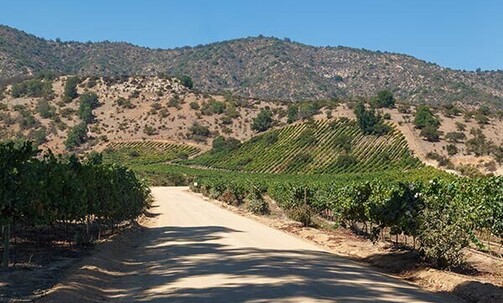 Chile: 7-Nt, Self-Drive Santiago, Valparaíso & Casablanca Valley Trip w/Rental Car