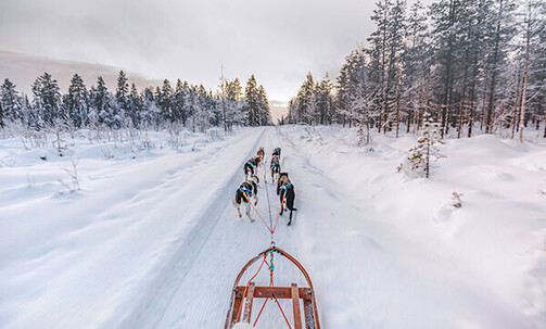 Helsinki to Rovaniemi: 7-Nt, Self-Drive Finland & Lapland Trip w/Rental Car