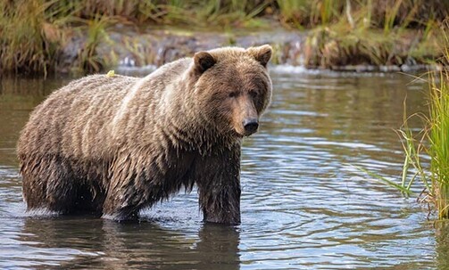 Epic Alaska. All in Anchorage.