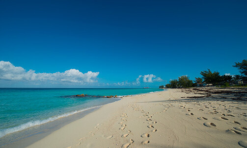 7-Night Bahamas Cruise on Celebrity, R/T from Tampa, w/Up to 75% Off 2nd Guest & More