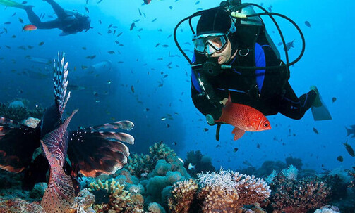 9-Night Caribbean Cruise, Round-Trip from Jacksonville: San Juan & Dominican Republic