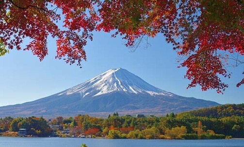 11-Night Japan Tour w/Air & More