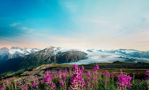 Alaska: 7-Night Inside Passage Cruise w/Free Upgrade; Save Up to 60% on Premium Amenities