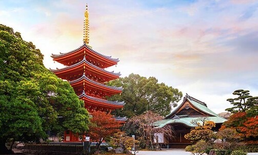 Non-Stop Business Class Flights to Europe, Asia & More on Top Airlines