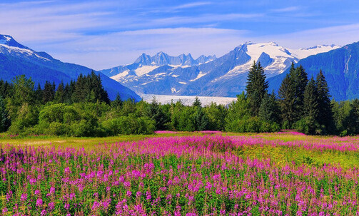 10-Night Alaska Round-Trip Cruise From Seattle: Skagway, Ketchikan & Sitka
