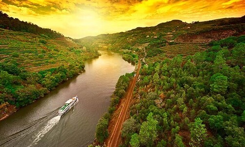 7-Night Douro River Cruise in Fall w/Free All-Incl. Drinks Package