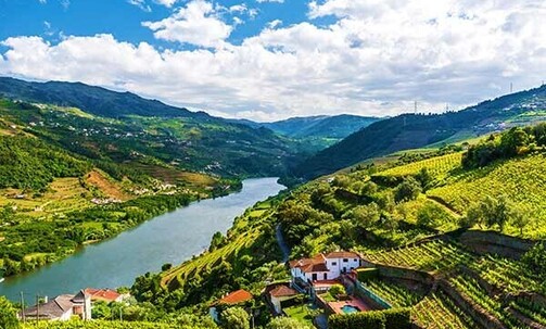 10-Night Douro River Cruise & Porto Land Package in Fall w/Free Drinks