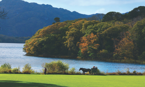 2-for-1 Airfare: Companions Fly for Free on 30+ Europe Tours in 2027*