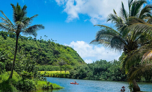 11-Night O'ahu Explorer Hyatt Waikiki Ocean View Cruisetour
